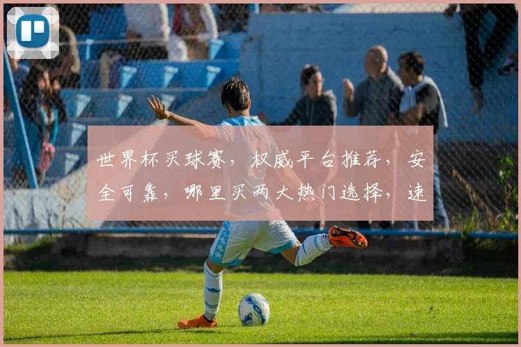 世界杯买球赛，权威平台推荐，安全可靠，哪里买两大热门选择，速来参与
