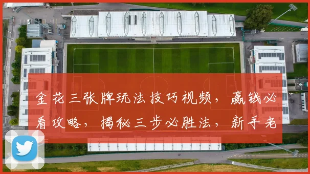 金花三张牌玩法技巧视频，赢钱必看攻略，揭秘三步必胜法，新手老手皆宜，学会不再输